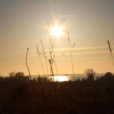 Agroturystyka Pod Kogutkiem Czysta Bagian luar foto