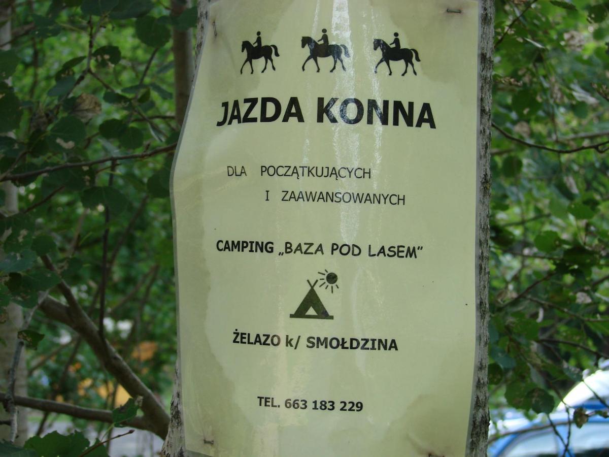 Agroturystyka Pod Kogutkiem Czysta Bagian luar foto